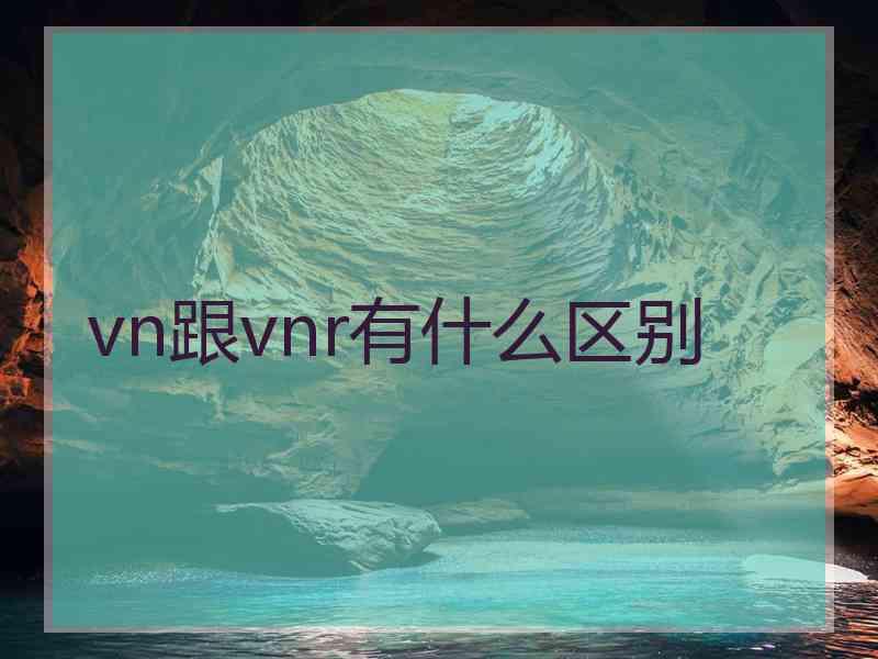 vn跟vnr有什么区别