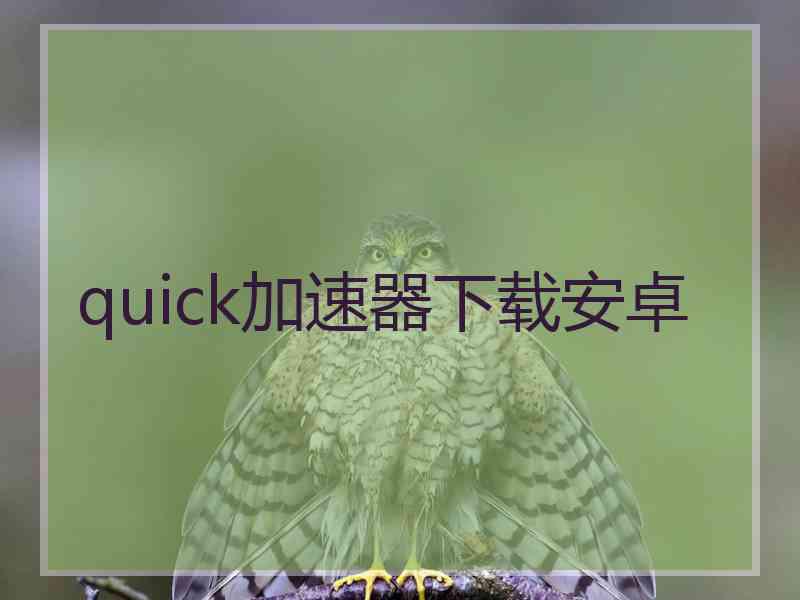 quick加速器下载安卓