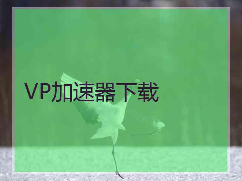 VP加速器下载