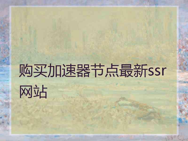 购买加速器节点最新ssr网站