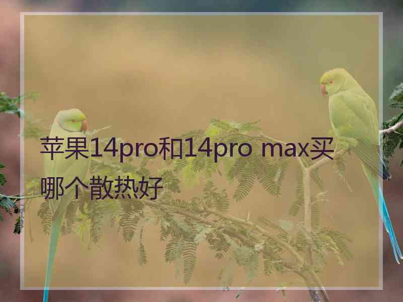 苹果14pro和14pro max买哪个散热好