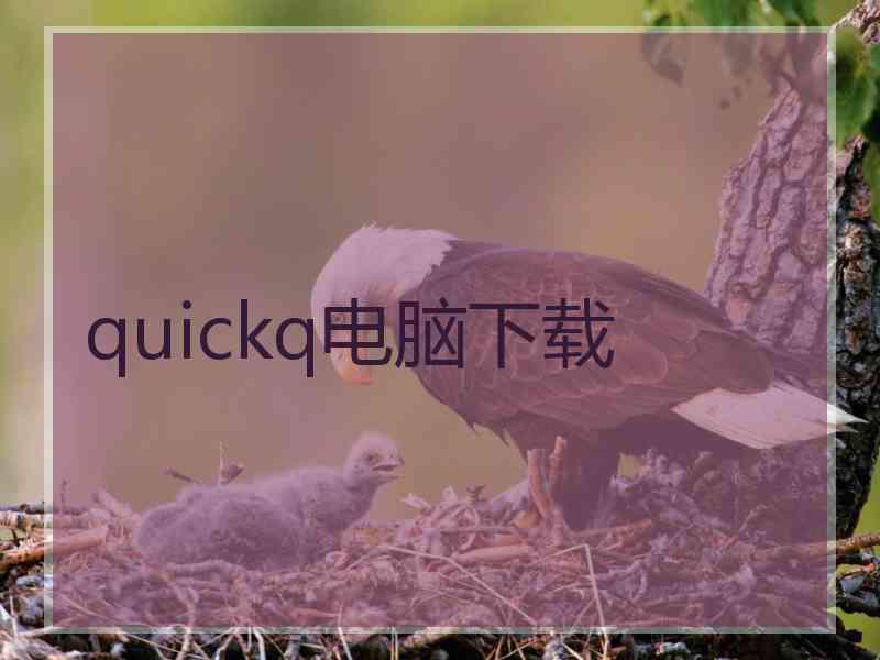 quickq电脑下载