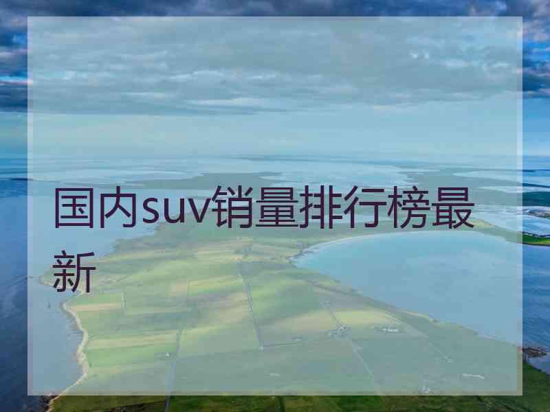 国内suv销量排行榜最新