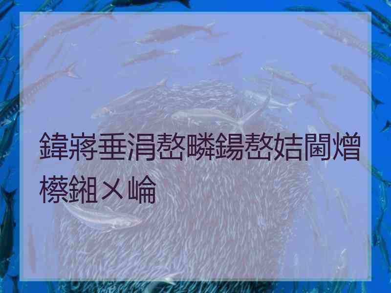 鍏嶈垂涓嶅疄鍚嶅姞閫熷櫒鎺ㄨ崘