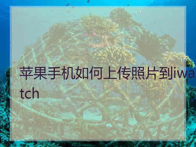 苹果手机如何上传照片到iwatch