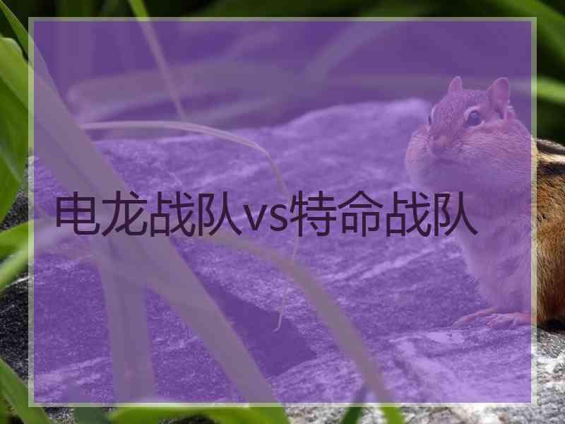 电龙战队vs特命战队