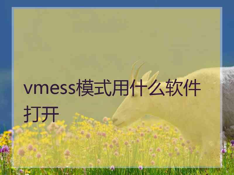 vmess模式用什么软件打开