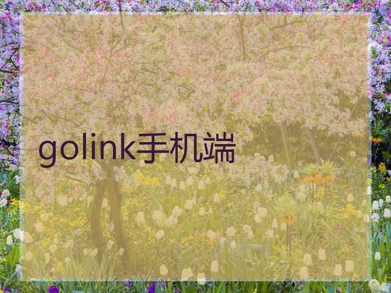 golink手机端