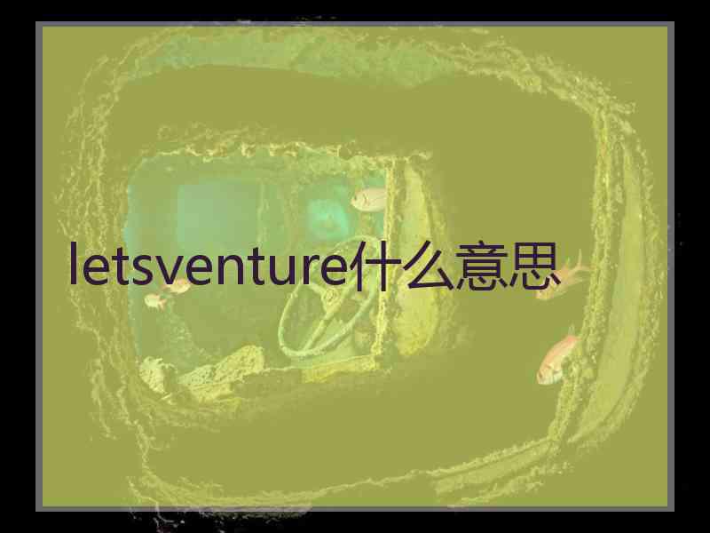 letsventure什么意思