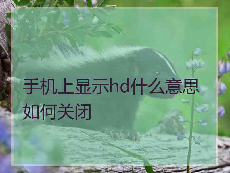 手机上显示hd什么意思如何关闭