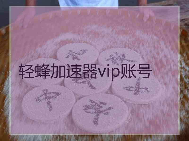 轻蜂加速器vip账号