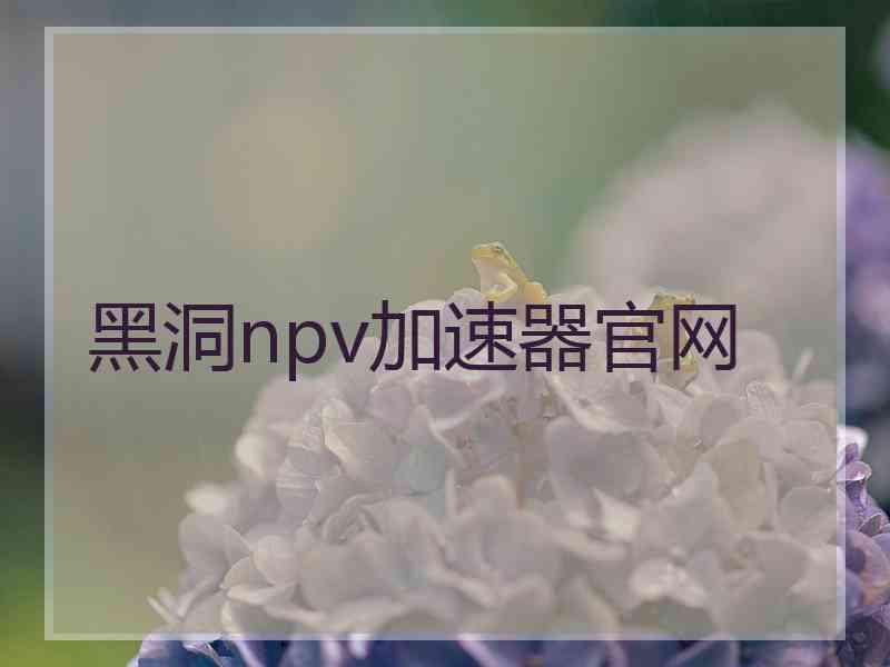 黑洞npv加速器官网