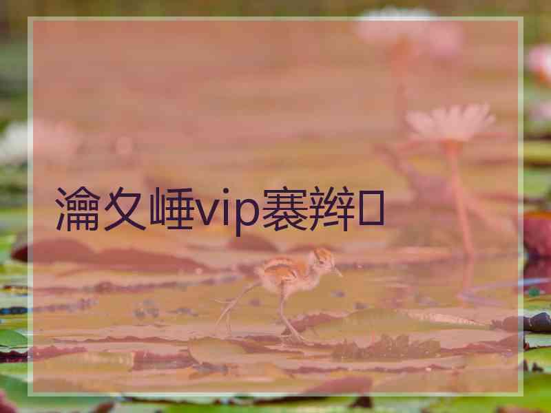 瀹夊崜vip褰辫