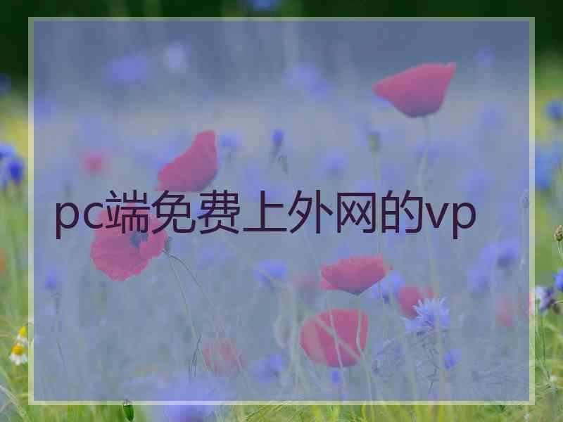 pc端免费上外网的vp