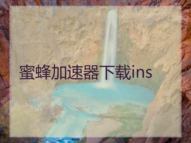 蜜蜂加速器下载ins