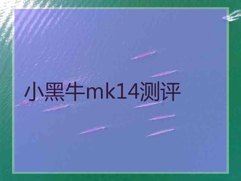 小黑牛mk14测评