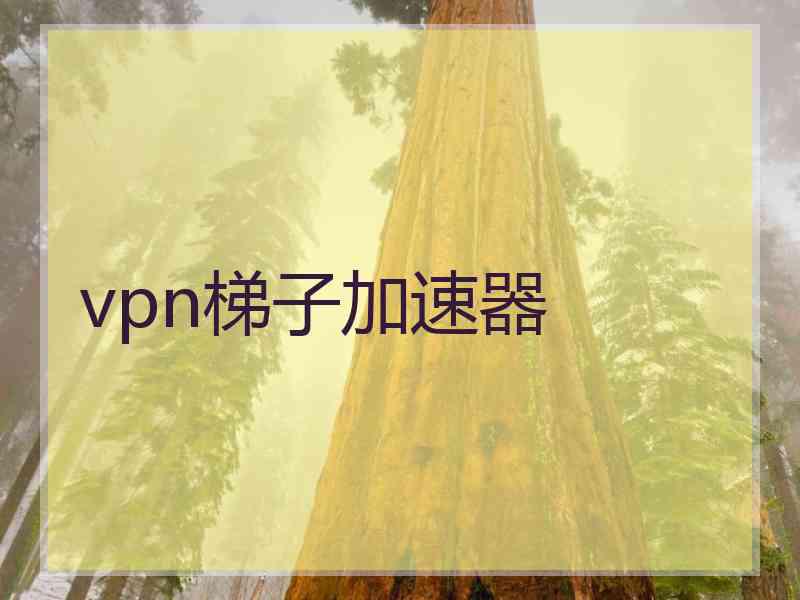 vpn梯子加速器