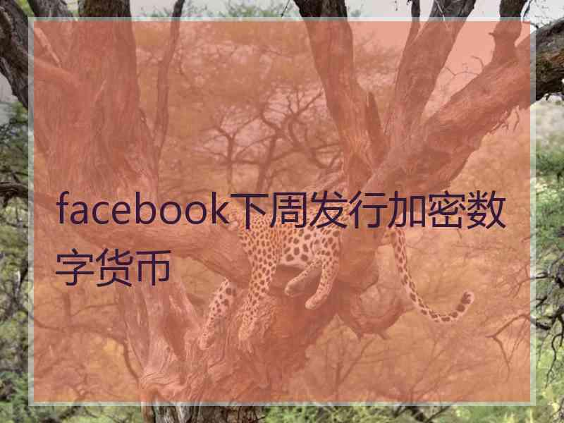 facebook下周发行加密数字货币