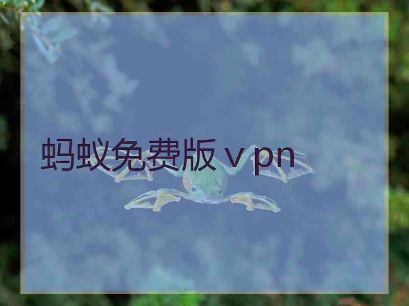 蚂蚁免费版ⅴpn