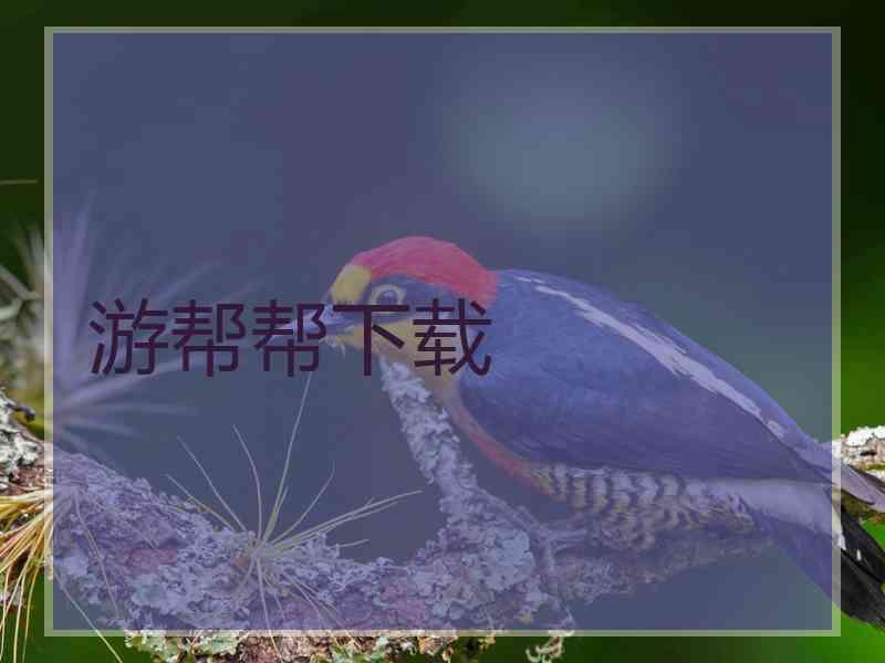 游帮帮下载