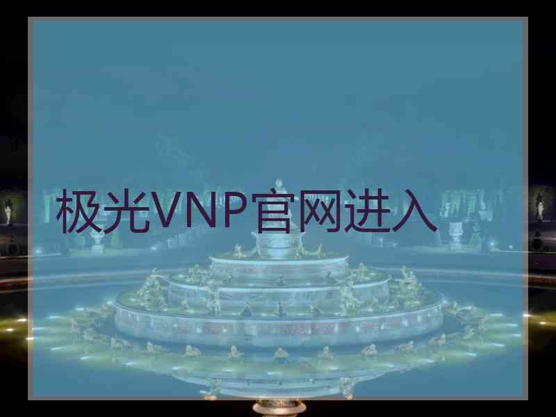 极光VNP官网进入