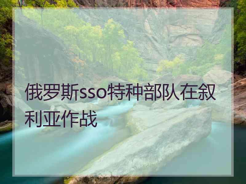 俄罗斯sso特种部队在叙利亚作战