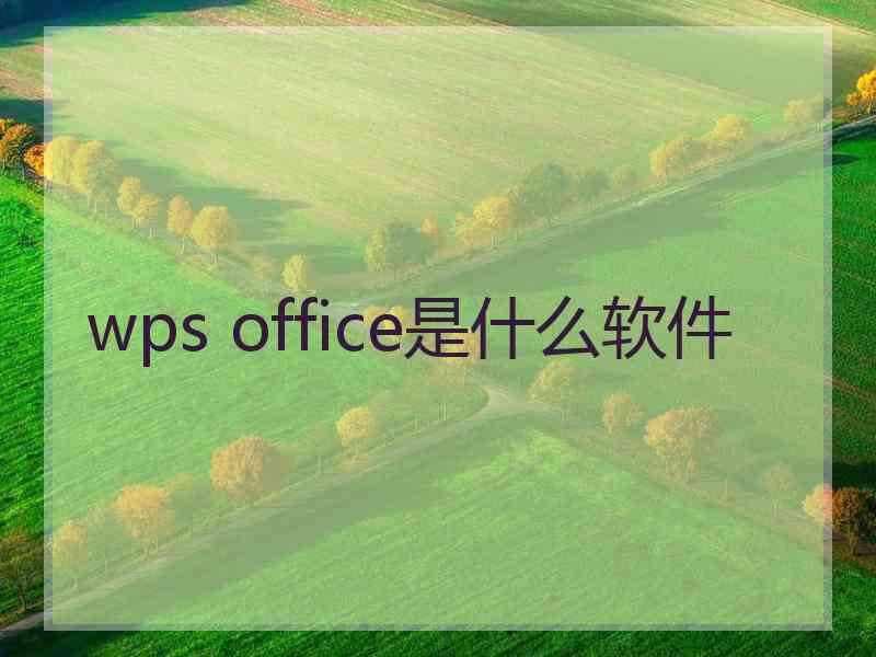 wps office是什么软件