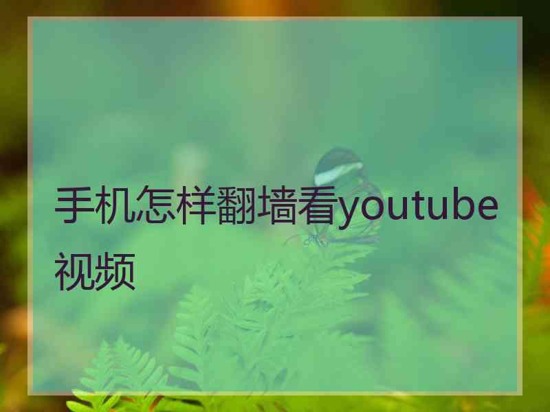 手机怎样翻墙看youtube视频