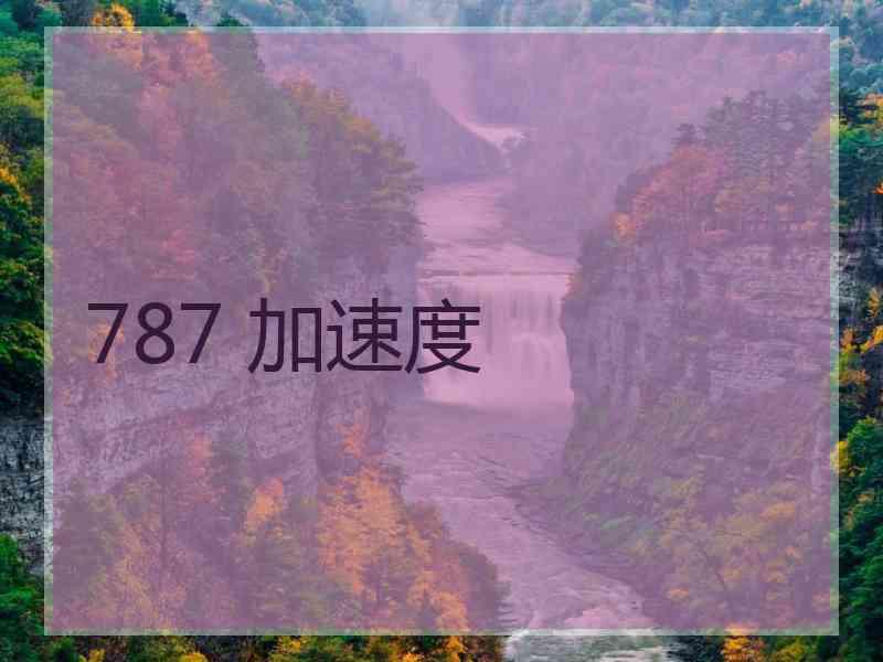 787 加速度