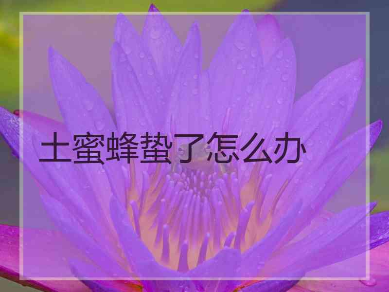 土蜜蜂蛰了怎么办