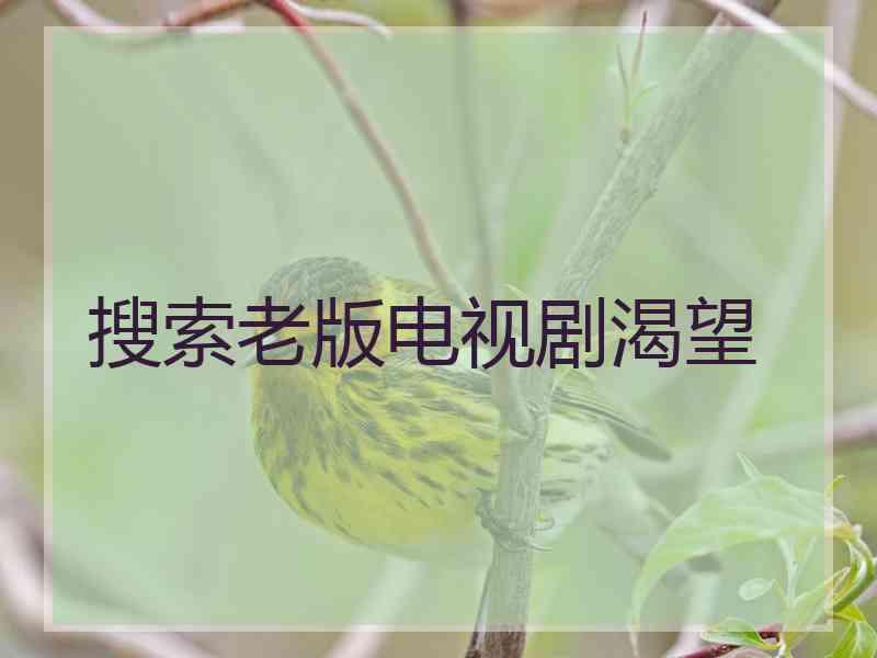 搜索老版电视剧渴望