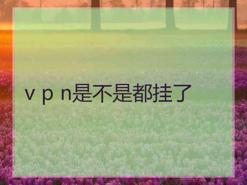 v p n是不是都挂了