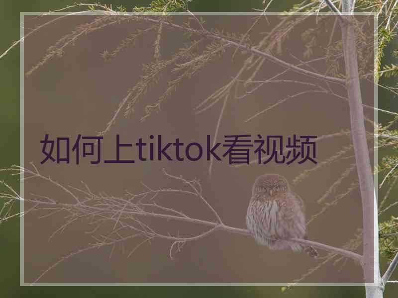 如何上tiktok看视频