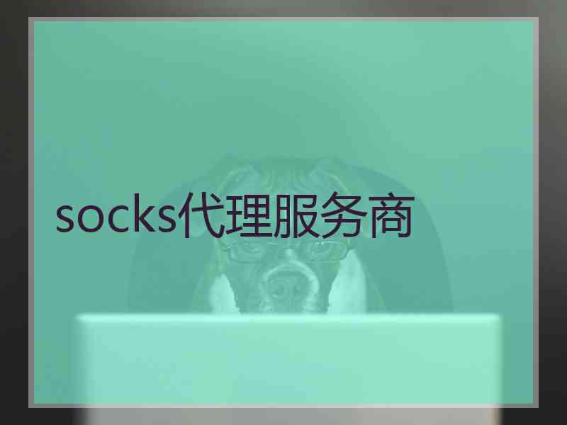 socks代理服务商