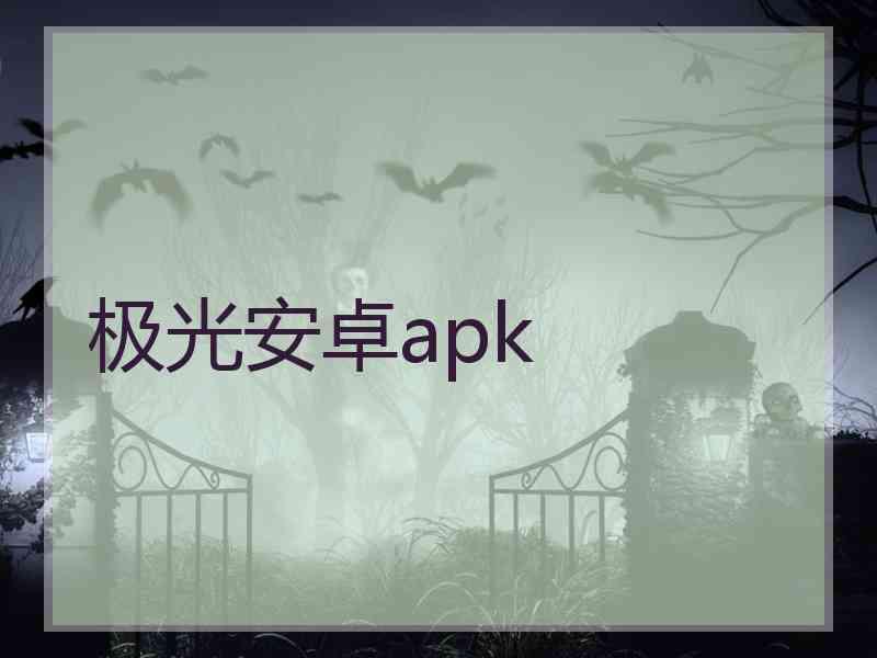 极光安卓apk