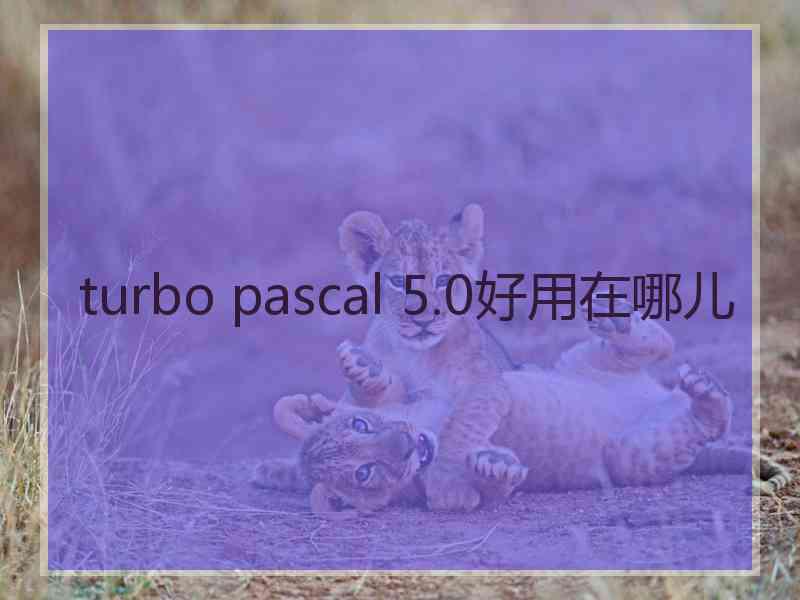 turbo pascal 5.0好用在哪儿