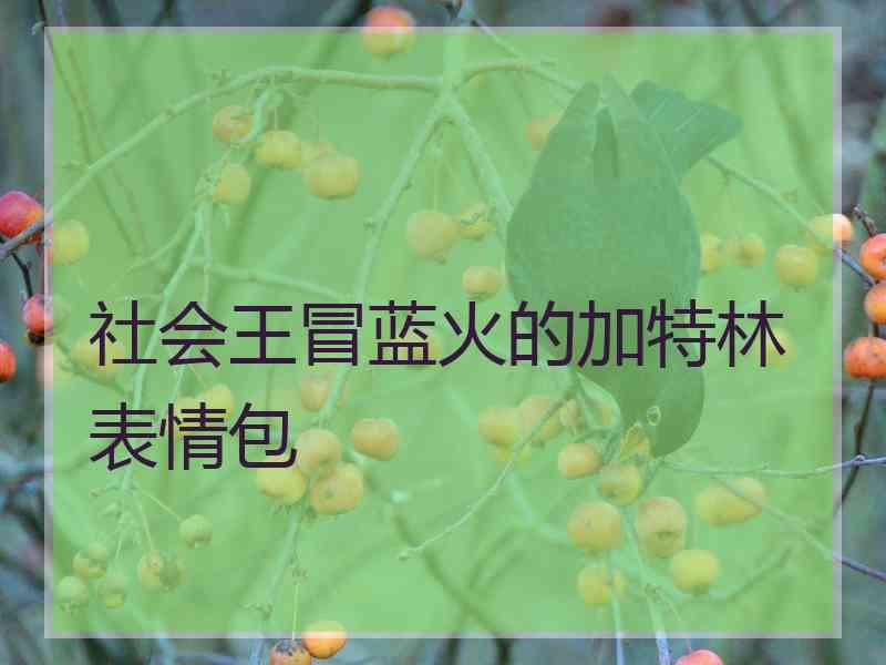 社会王冒蓝火的加特林表情包