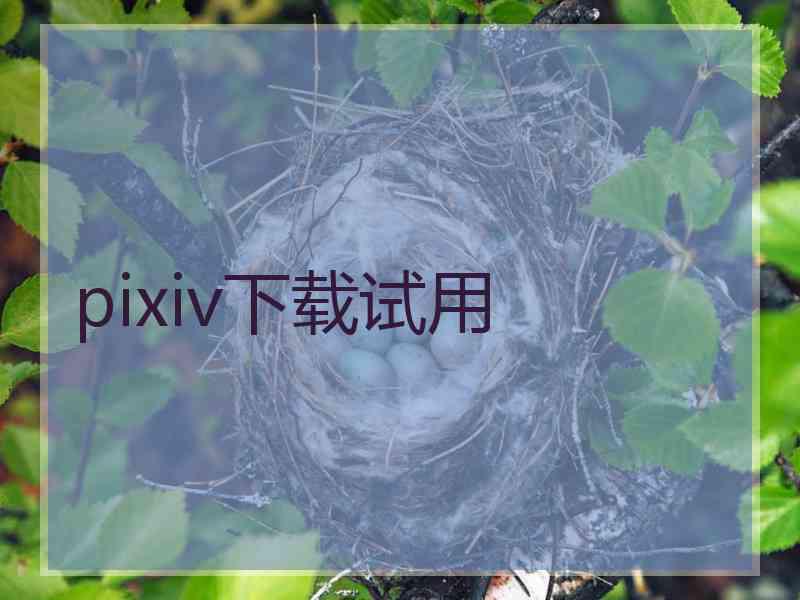 pixiv下载试用