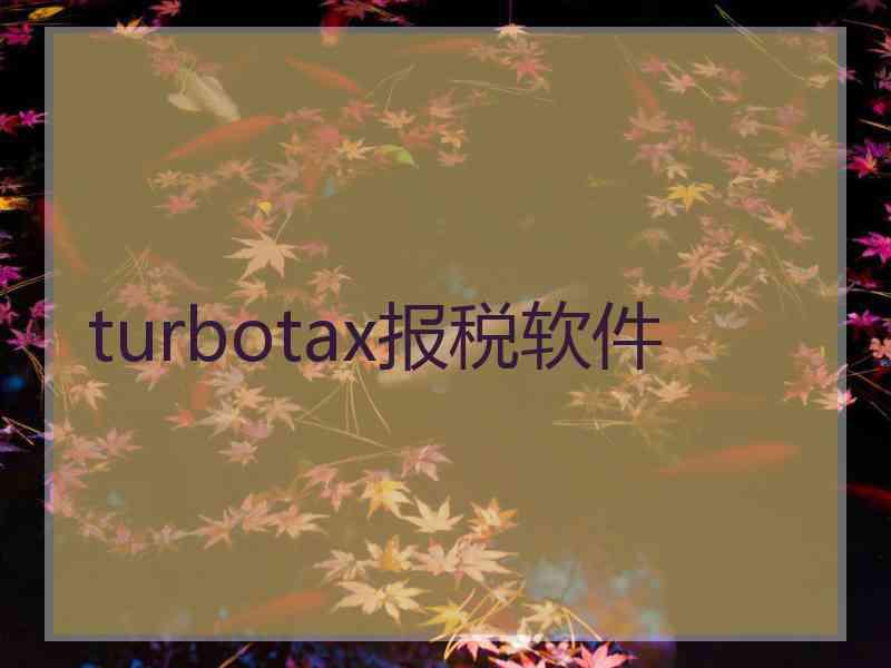 turbotax报税软件