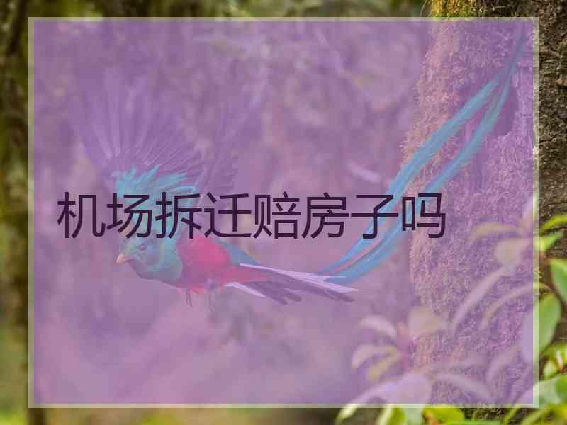 机场拆迁赔房子吗