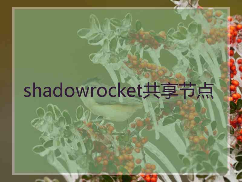 shadowrocket共享节点