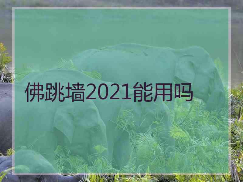 佛跳墙2021能用吗