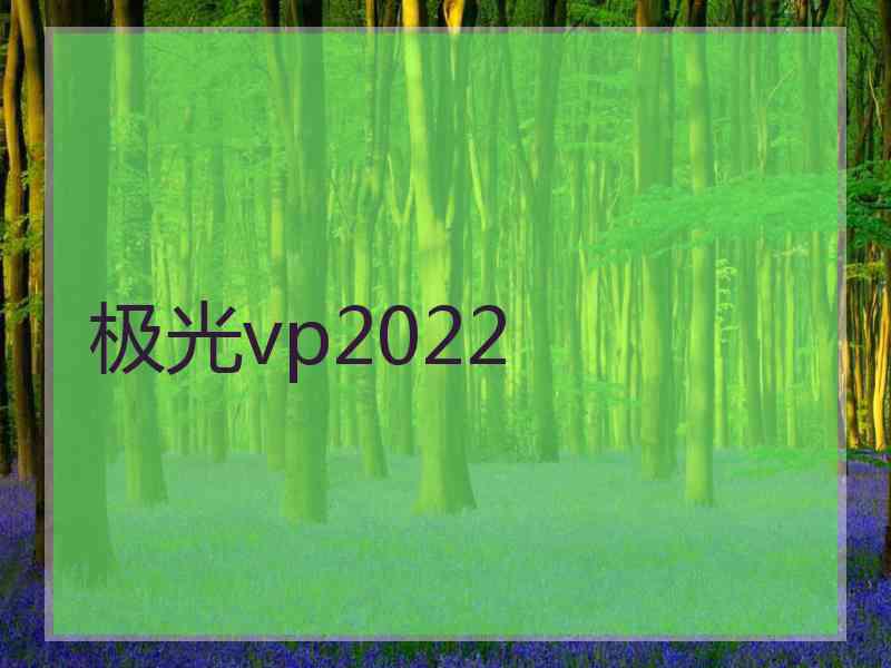 极光vp2022