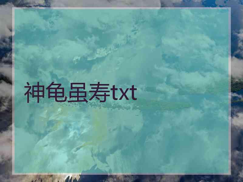 神龟虽寿txt