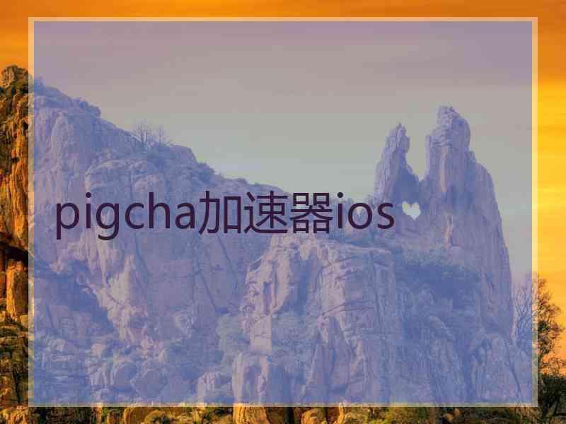 pigcha加速器ios