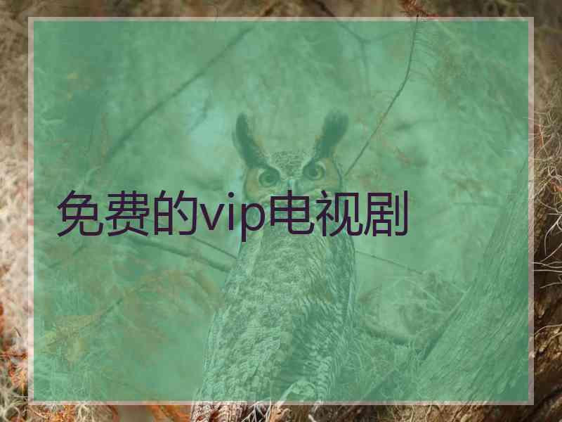 免费的vip电视剧