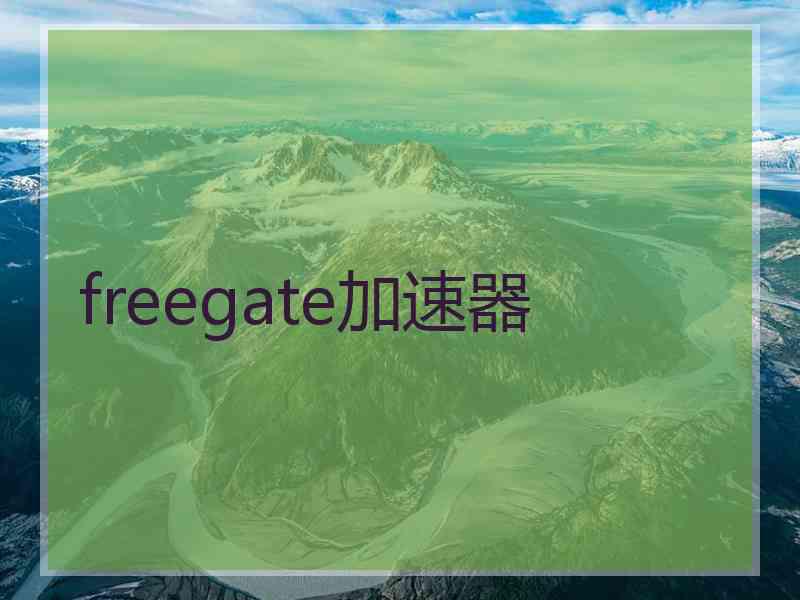 freegate加速器