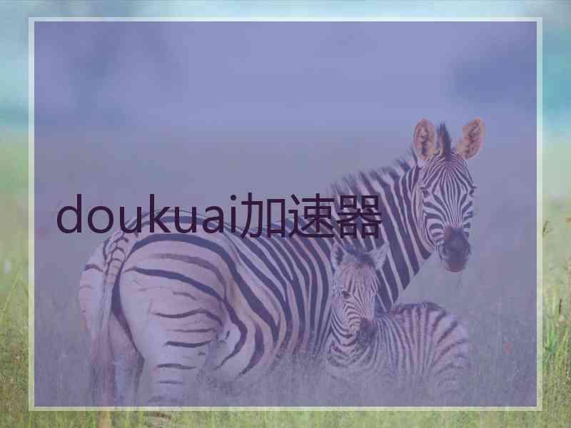 doukuai加速器