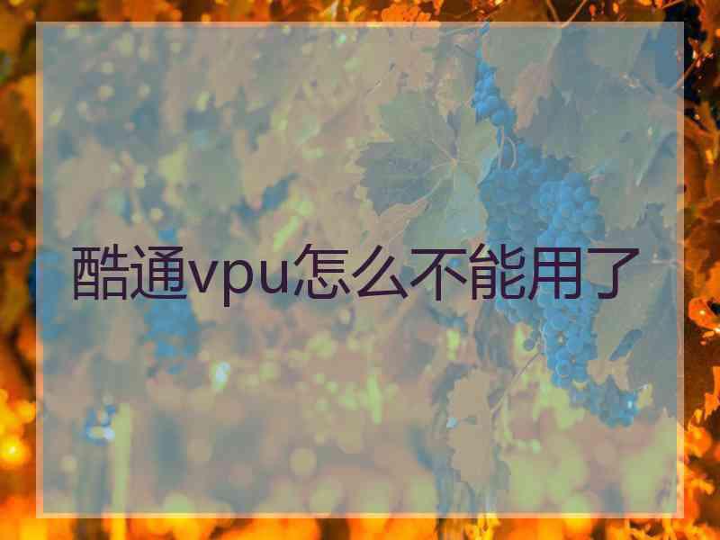 酷通vpu怎么不能用了