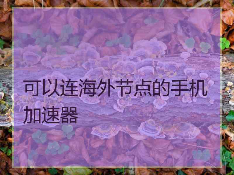 可以连海外节点的手机加速器